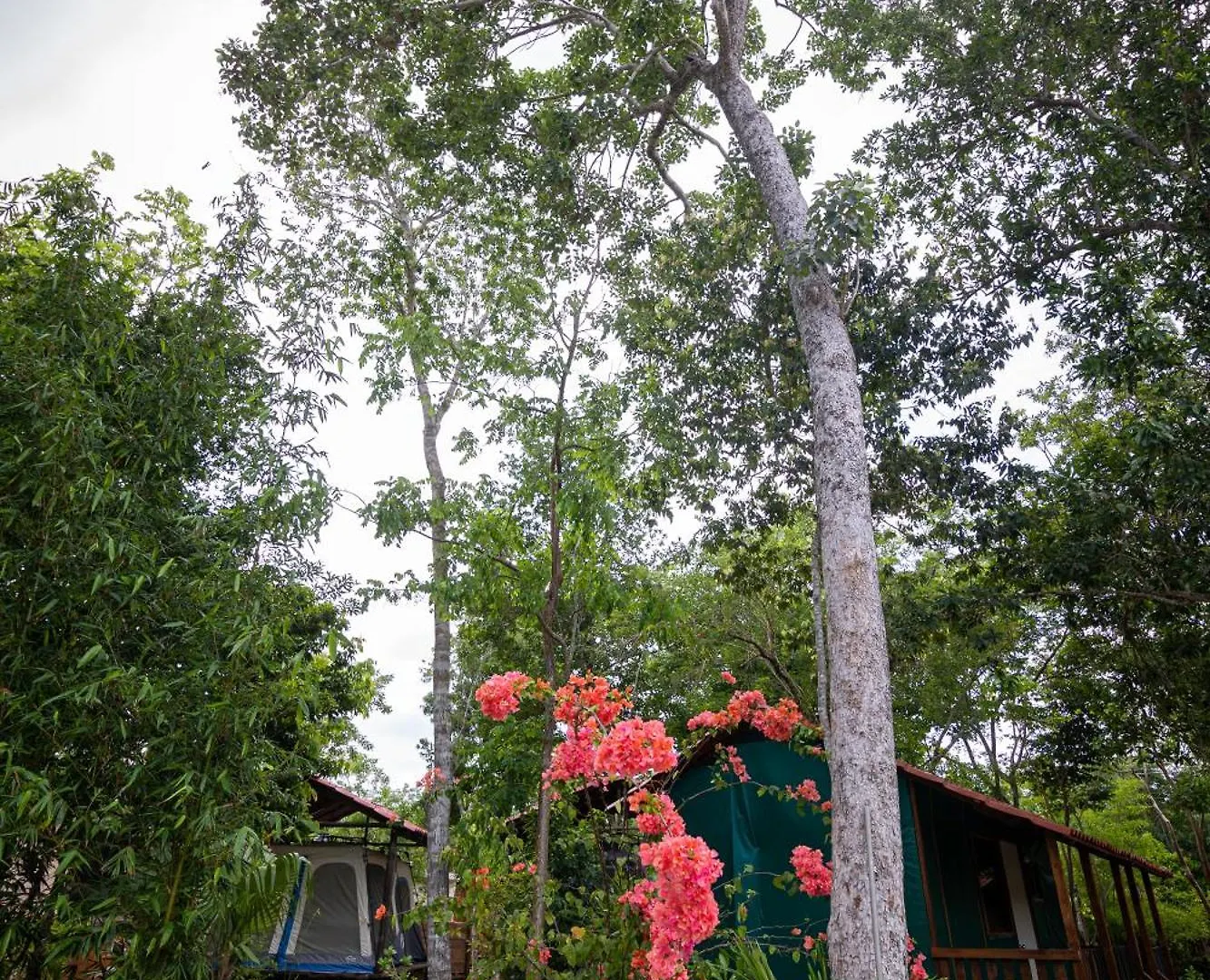 Glamping Solferino-Holbox Coast Hotel