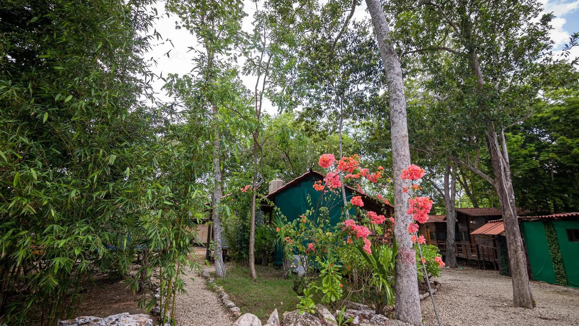 Glamping Solferino-Holbox Coast Hotel Mexico