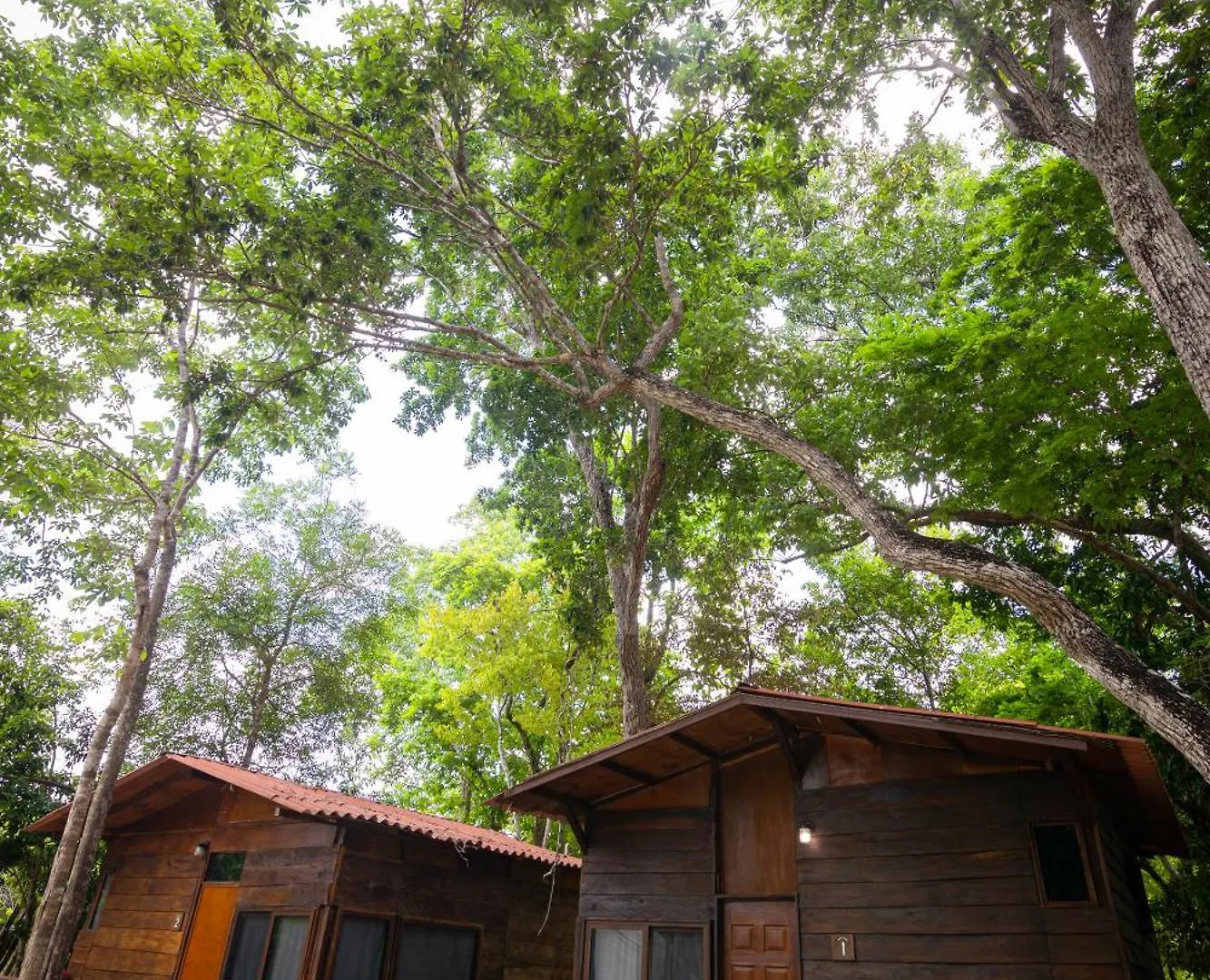 Glamping Solferino-Holbox Coast Hotel